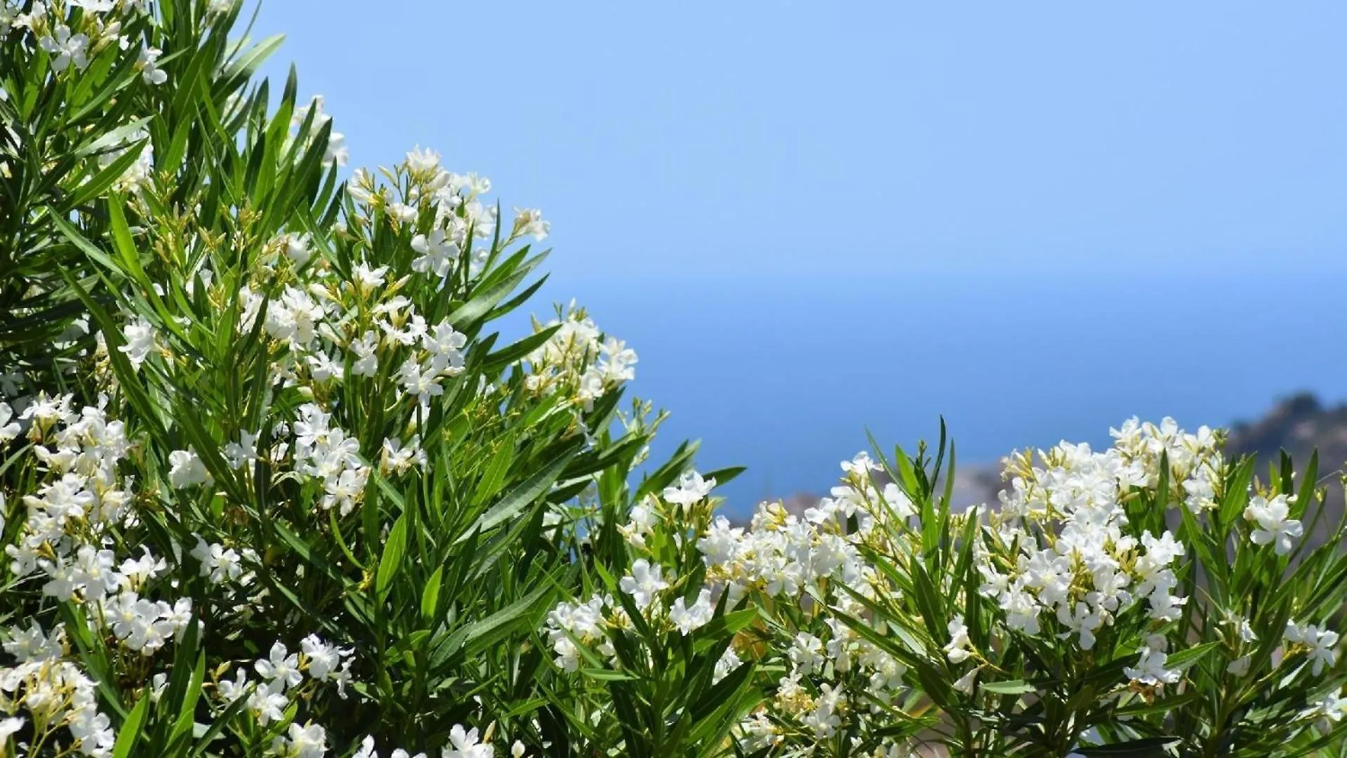 Ferienhaus Mit Privatpool Fuer 4 Personen Ca 65 Qm In Frigiliana, Andalusien Costa Del Sol Nerja Holiday home